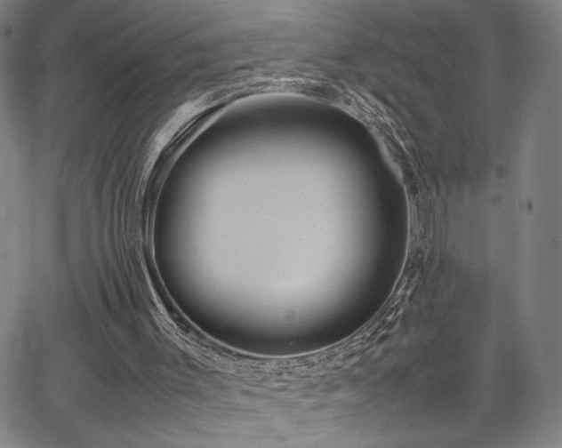 X0000067480003200604071150