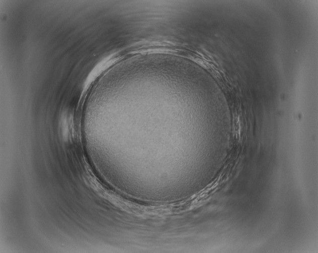 X0000067480004200604071150