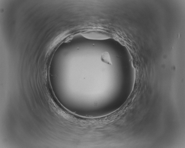 X0000067480005200604071150