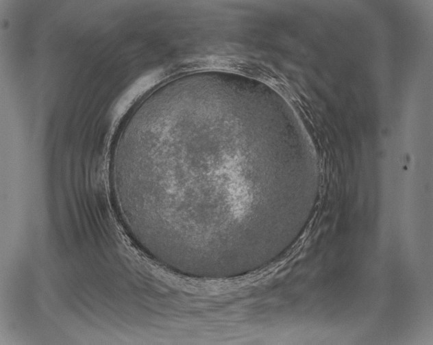 X0000067480006200604071150