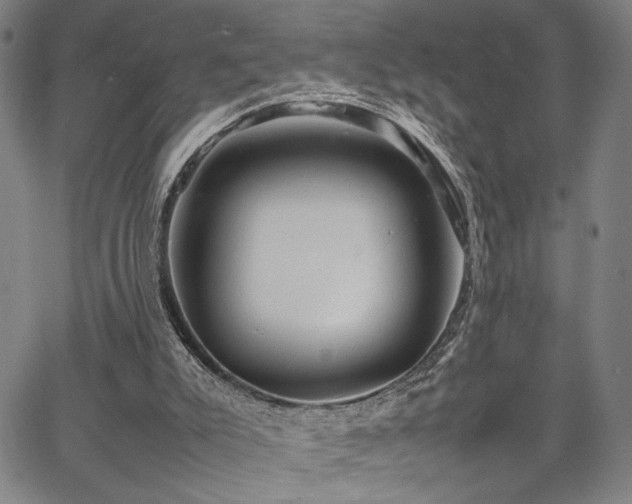 X0000067480007200604071150