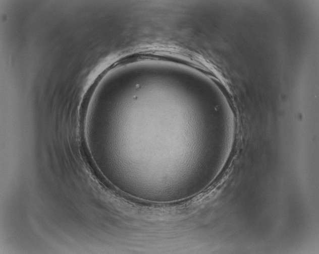 X0000067480008200604071150