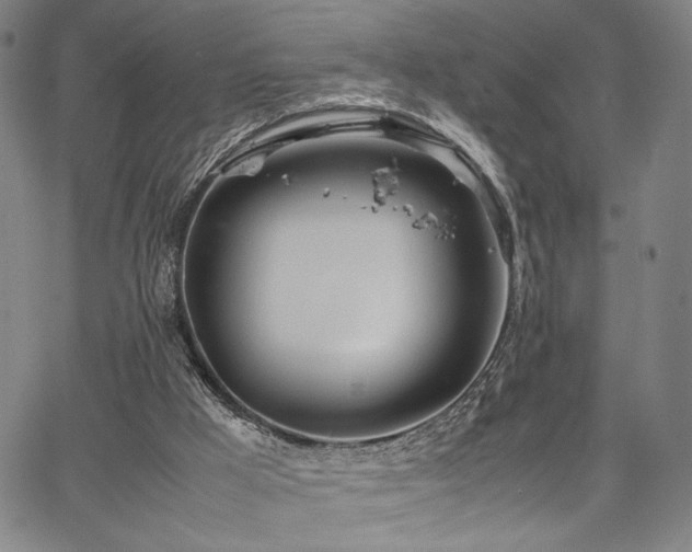 X0000067480009200604071150