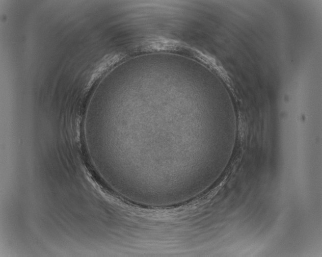 X0000067480010200604071150