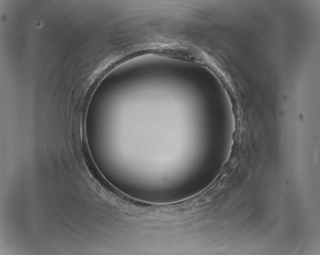 X0000067480011200604071150