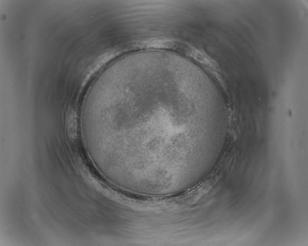 X0000067480012200604071150