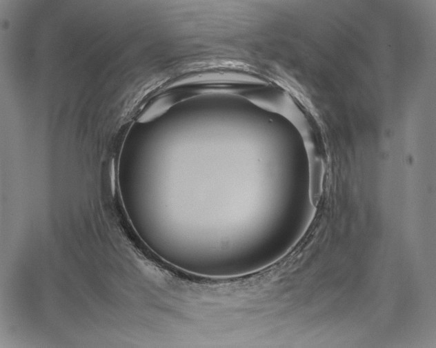 X0000067480013200604071150