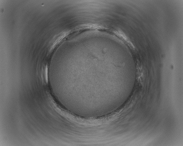 X0000067480014200604071150