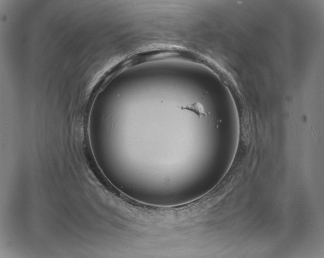 X0000067480015200604071150