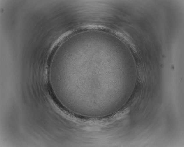 X0000067480016200604071150