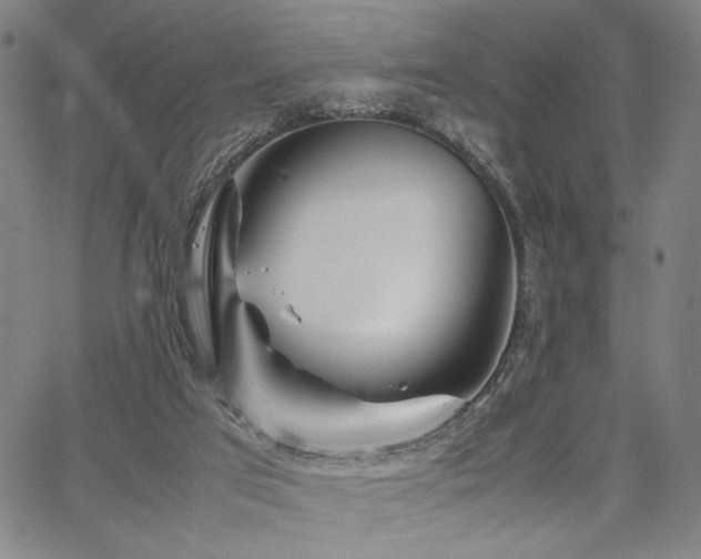 X0000067480017200604071150