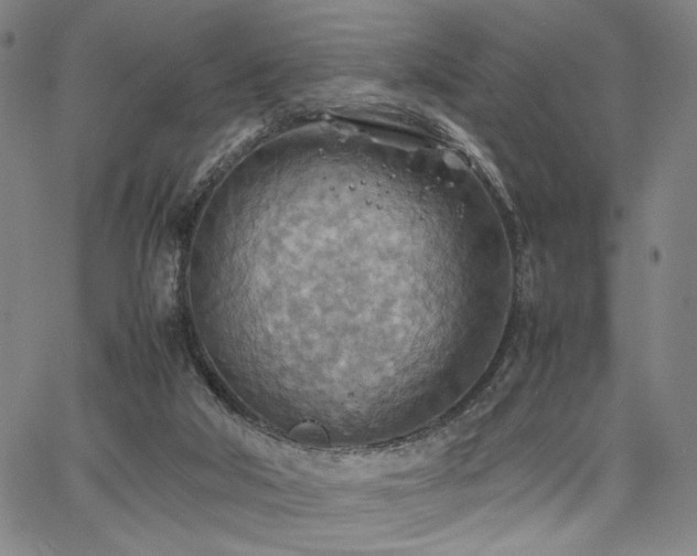 X0000067480018200604071150