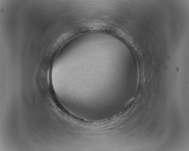 X0000067480019200604071150