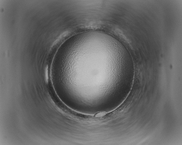 X0000067480020200604071150