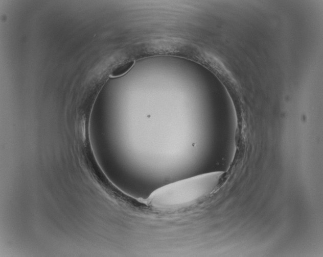 X0000067480021200604071150