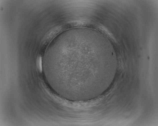 X0000067480022200604071150