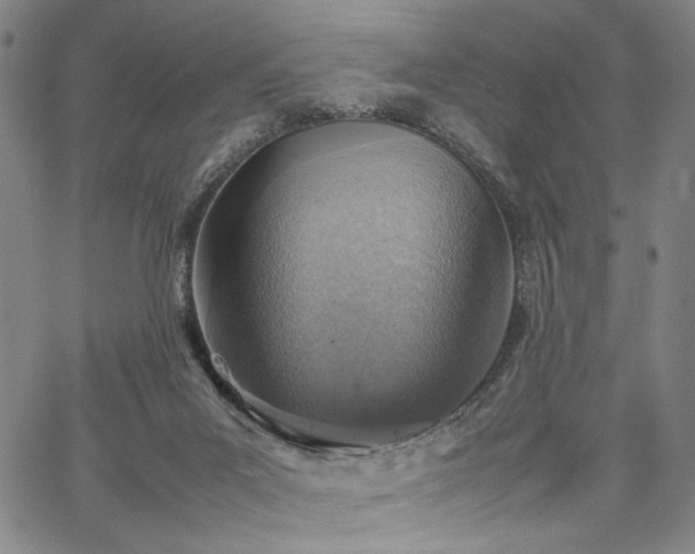 X0000067480023200604071150