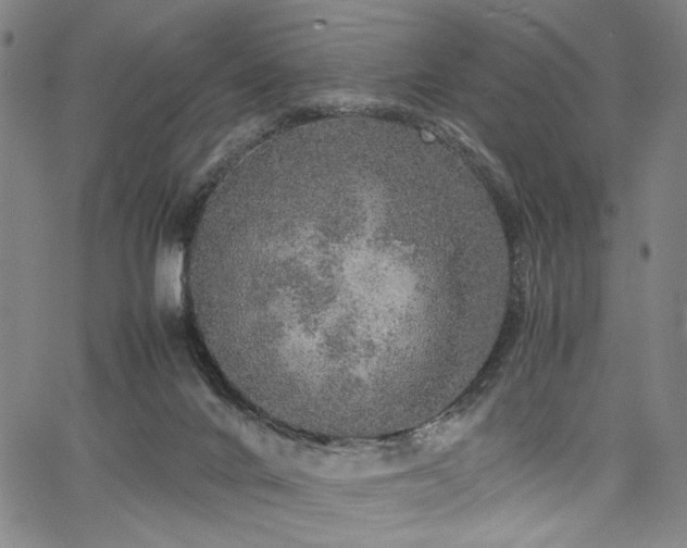 X0000067480024200604071150