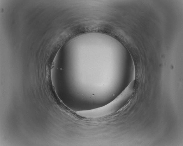 X0000067480025200604071150