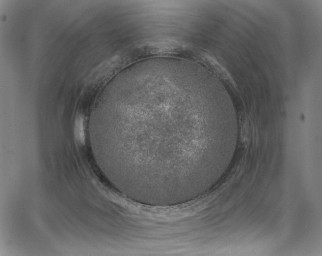 X0000067480026200604071150