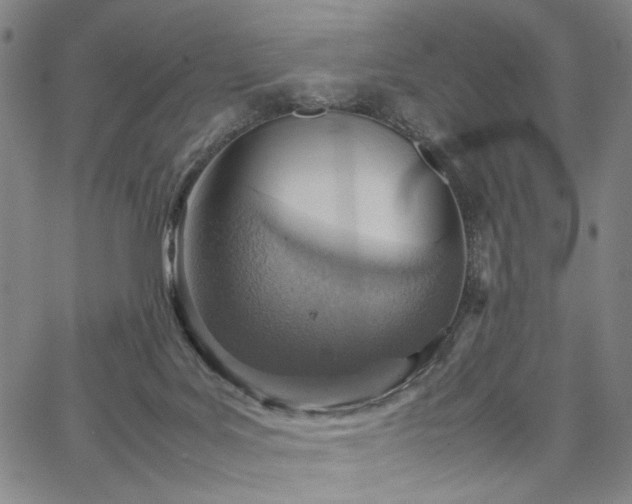 X0000067480027200604071150