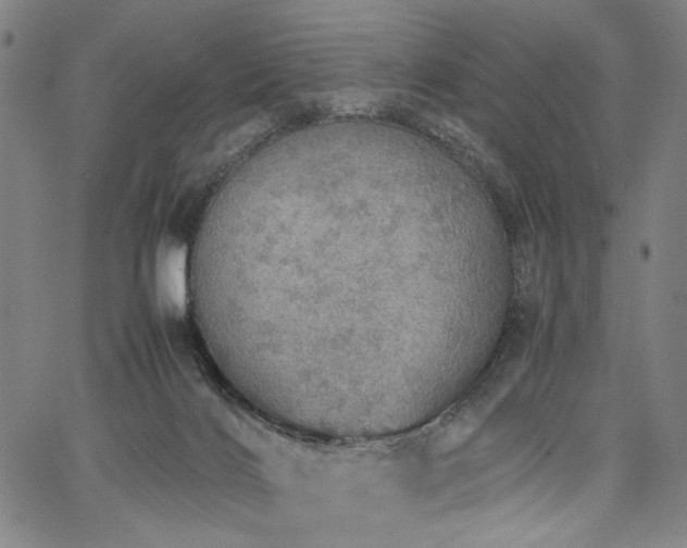 X0000067480028200604071150