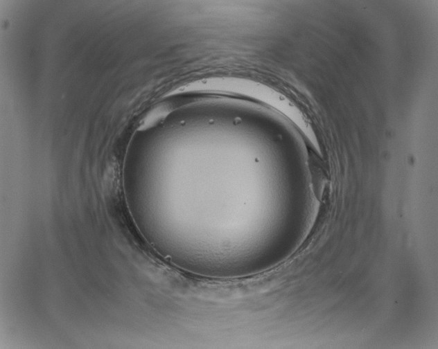 X0000067480029200604071150