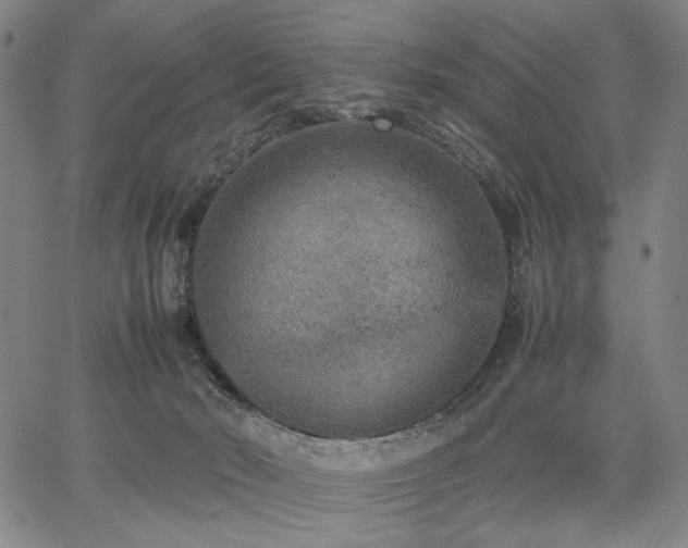 X0000067480030200604071150