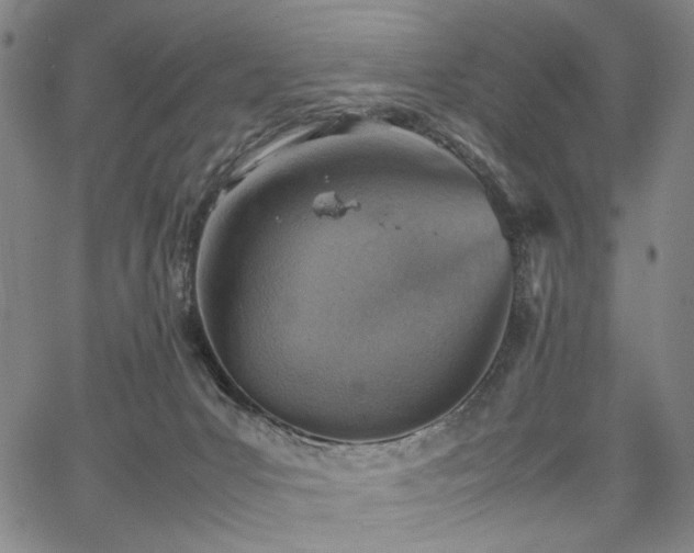 X0000067480031200604071150