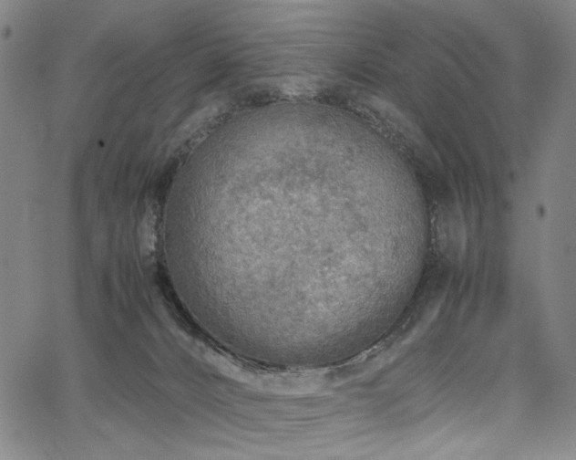 X0000067480032200604071150