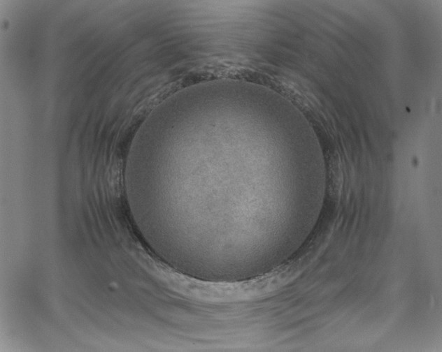 X0000067480034200604071150