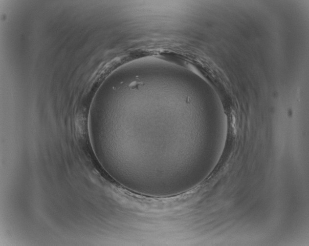 X0000067480035200604071150