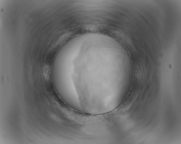 X0000067480036200604071150