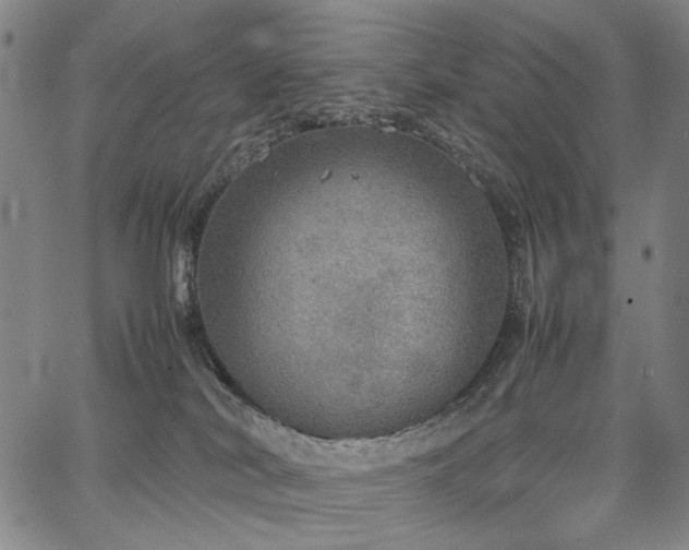 X0000067480038200604071150