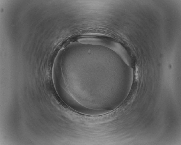 X0000067480039200604071150