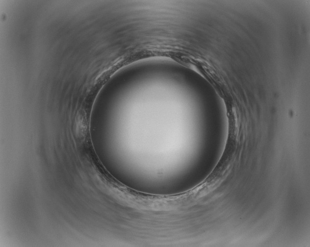 X0000067480040200604071150