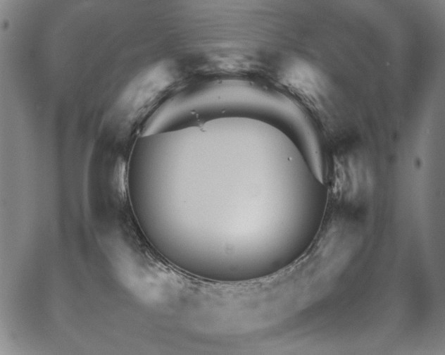 X0000067480041200604071150