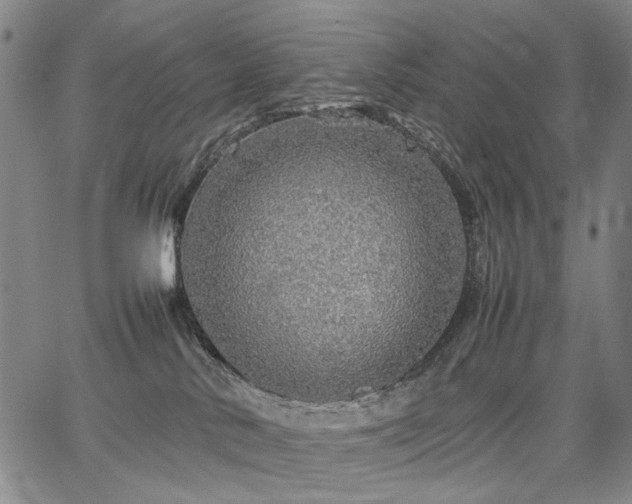 X0000067480042200604071150