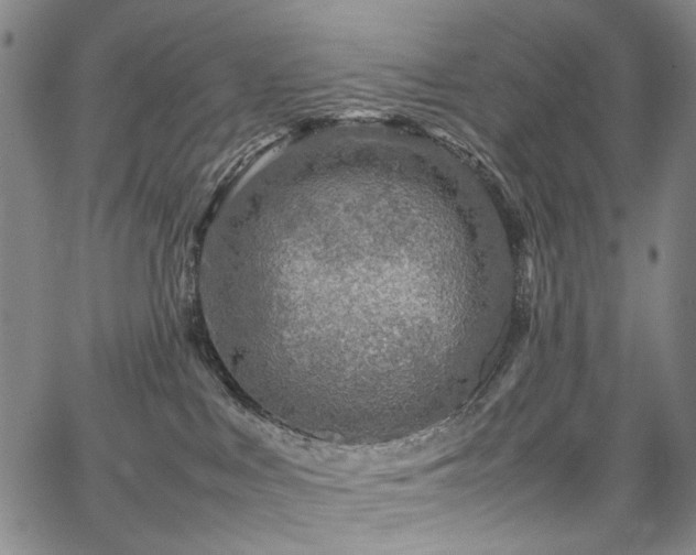 X0000067480043200604071150