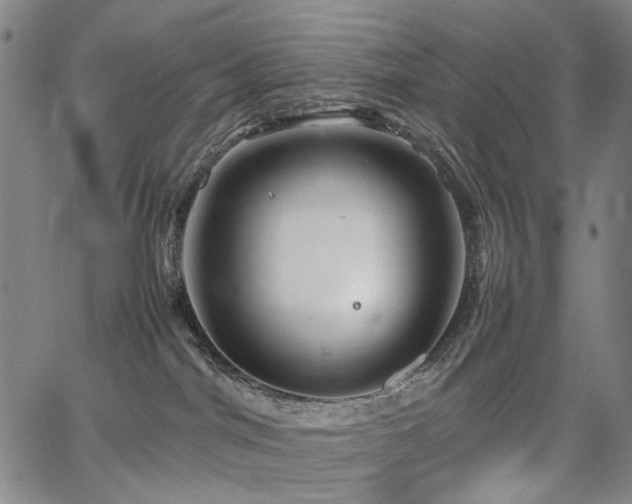 X0000067480044200604071150