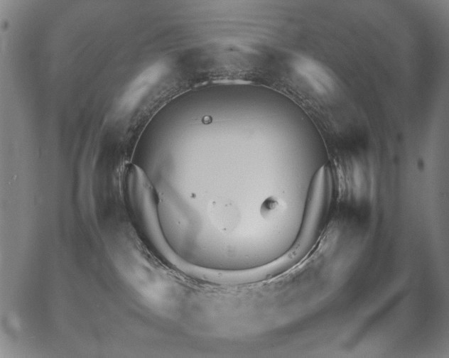 X0000067480045200604071150