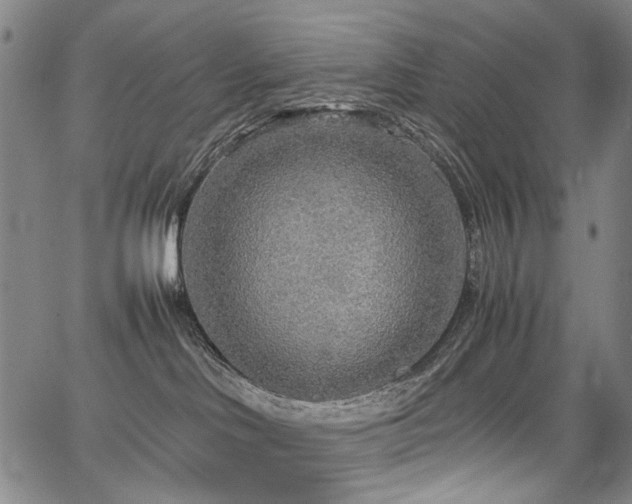 X0000067480046200604071150