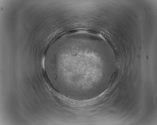 X0000067480047200604071150