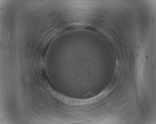 X0000067480048200604071150