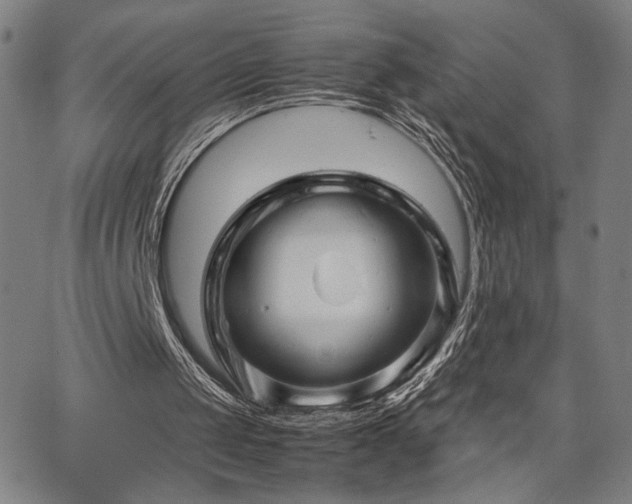 X0000067480049200604071149