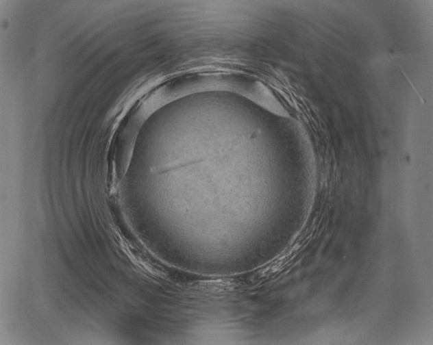 X0000067480050200604071149