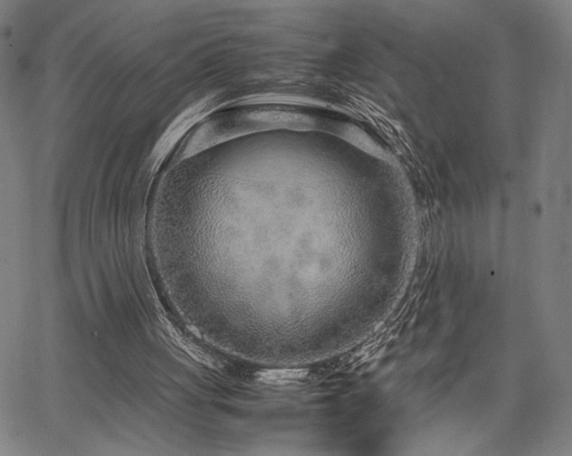 X0000067480051200604071149