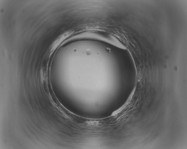 X0000067480052200604071149