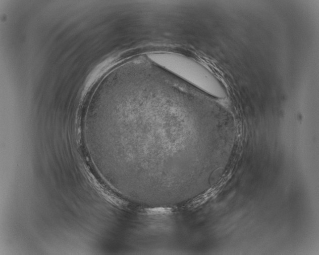 X0000067480053200604071149