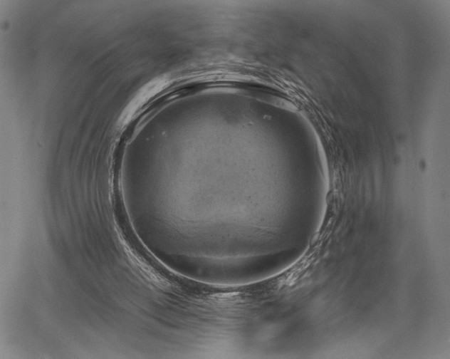 X0000067480054200604071149